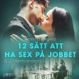 12 sätt att ha sex på jobbet - novellsamling For Cheap